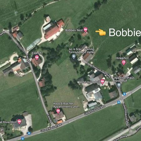 Villa Bobbies Nest Schladming Exterior foto