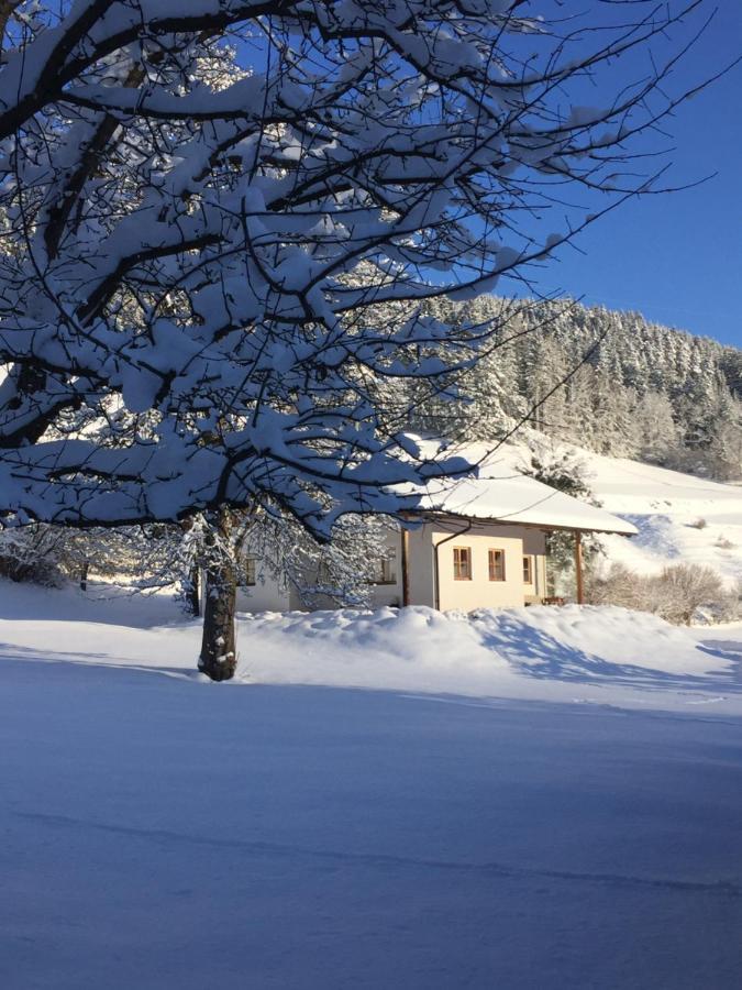 Villa Bobbies Nest Schladming Exterior foto