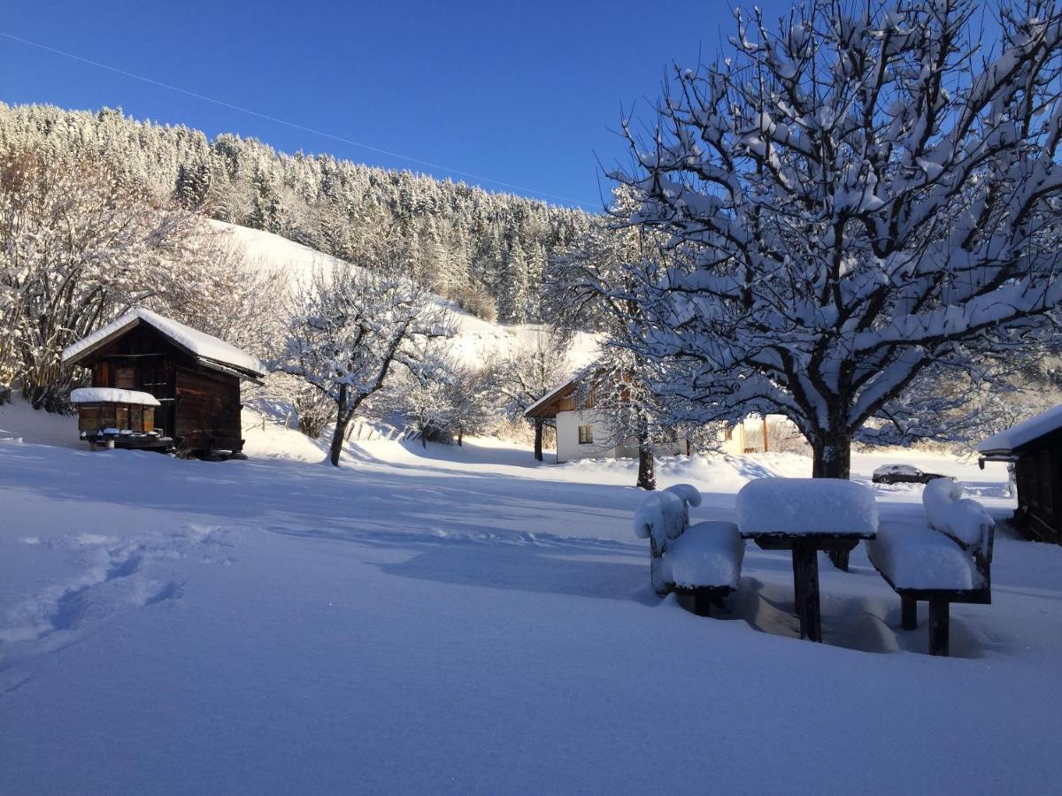 Villa Bobbies Nest Schladming Exterior foto