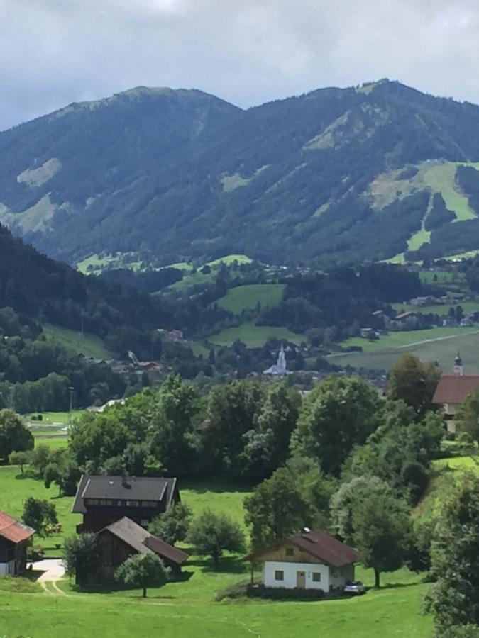 Villa Bobbies Nest Schladming Exterior foto