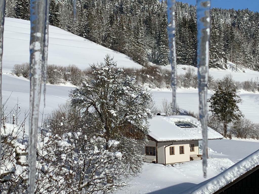 Villa Bobbies Nest Schladming Exterior foto