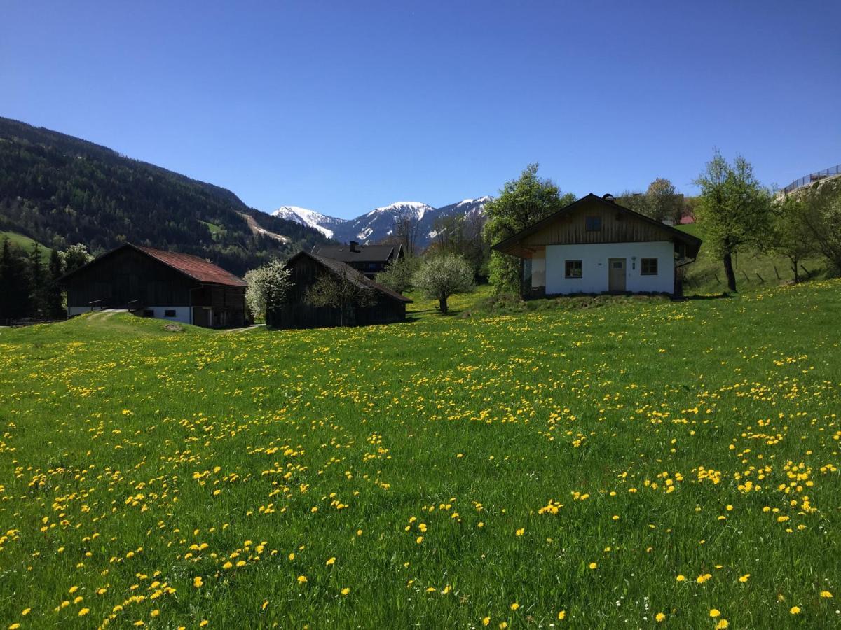 Villa Bobbies Nest Schladming Exterior foto